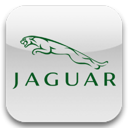  Датчики TPMS на Jaguar