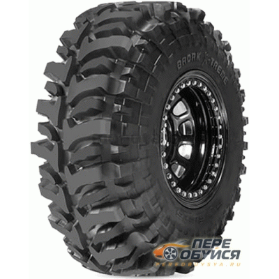 Фото Accelera Badak X-treme
 Открывается в новом окне